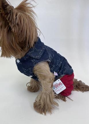 Джинсовый комбинезон для собаки