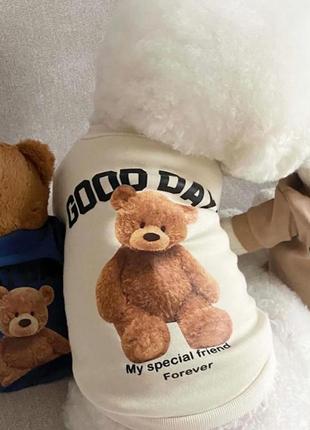 Кофта для собак котів