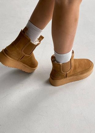 Угги угги угги угги ugg neumel chelsea коричневый5 фото