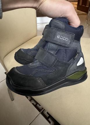 Ecco gore tex 25 розмір еко