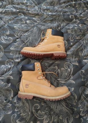 Класичні черевики timberland