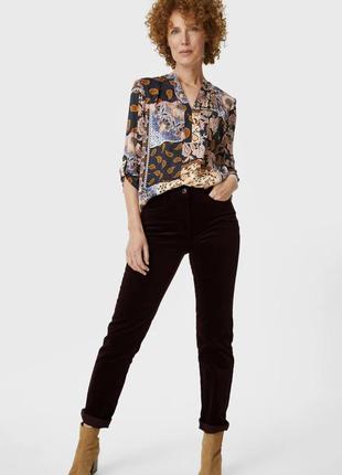 Штани жіночі