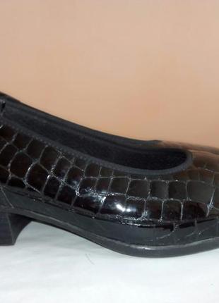 Waldlaufer кожаные туфли балетки р. 39 ст. 25,8 см шир. 8 см4 фото
