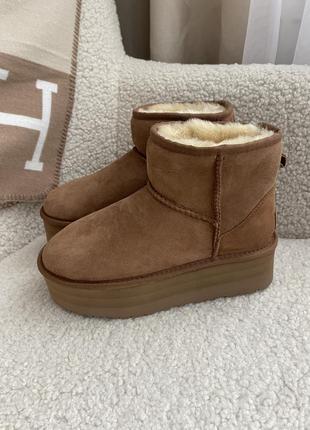 Зимние сапоги ugg classic mini platform 5 см 37/38р.