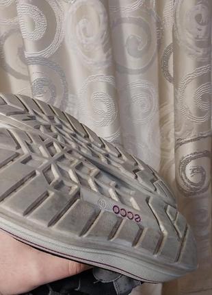 Качественные стильные теплые брендовые сапоги ecco7 фото