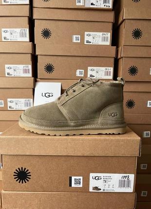 Чудові ugg neumel khaki(зима)2 фото