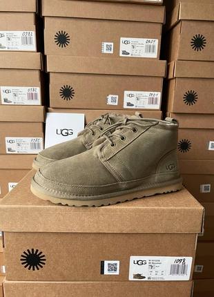 Чудові ugg neumel khaki(зима)1 фото