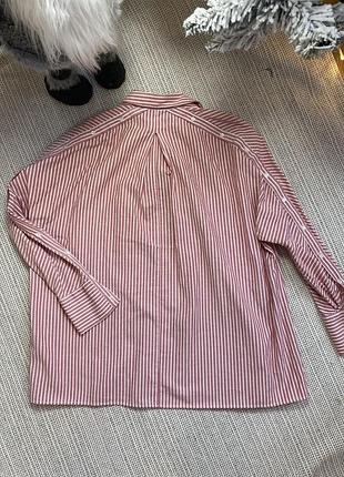 Бавовняна сорочка у смужку zara7 фото