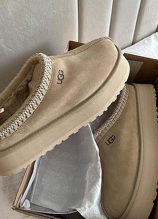 Ugg tazz, уггі, угг, чоботи жіночі