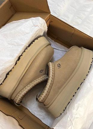 Ugg tazz, угги, угг, сапоги женские