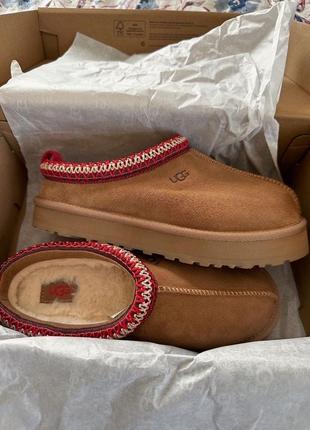 Ugg tazz, уггі, угг, чоботи жіночі
