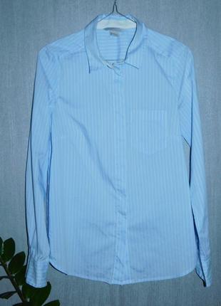 Приталенная хлопковая рубашка блузка голубая в мелкую полоску от h&m4 фото