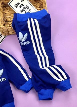 Костюм детский спортивный adidas унисекс, р.74-1283 фото