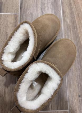 Обувь угги ugg ultra classic mini5 фото