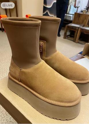 Ugg, угг, угги, сапоги женские2 фото