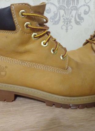 Timberland1 фото