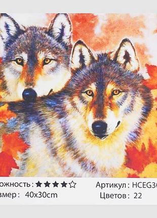 Картина за номерами tk group вовки 30х40см, на підрамнику з фарбами, пензлями, 30423