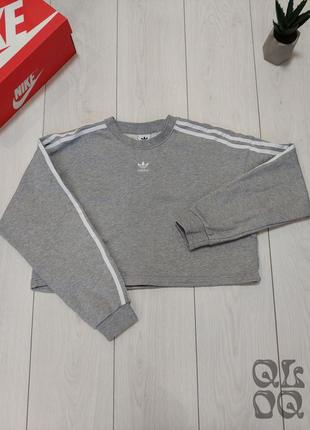 Adidas свитшот кроп женский2 фото