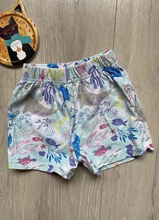 Nutmeg трикотажные шорты