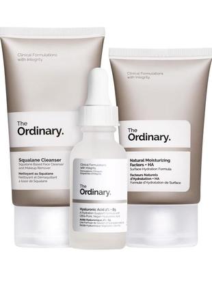 The ordinary the daily set 2