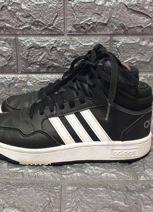 Кросівки adidas hoops mid(оригінал)