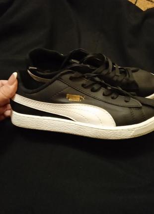 Женские кеды puma basket2 фото