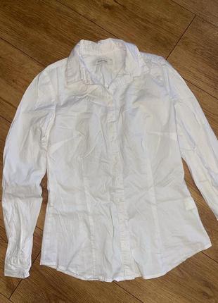 Біла сорочка рубашка