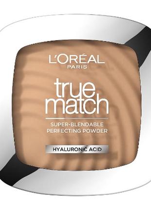 Пудра для лица l'oreal paris true match super blendable powder 3d/3w