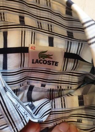 Натуральная рубашка в клетку lacoste sale6 фото