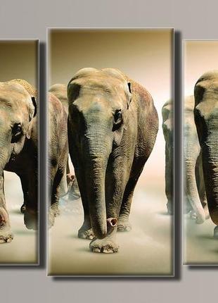 Модульна картина на полотні з 3-х частин "слони в поле"