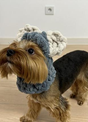 Шапка балаклава шапка для собак одяг для собак4 фото
