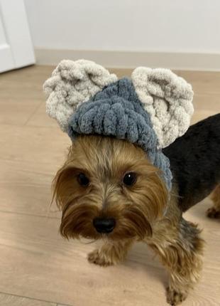 Шапка балаклава шапка для собак одяг для собак5 фото