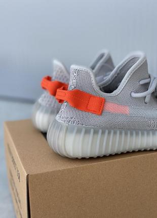 Кроссовки adidas yeezy 3504 фото