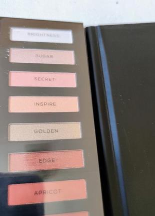 Набор теней для век в 12 цветах color burst ps