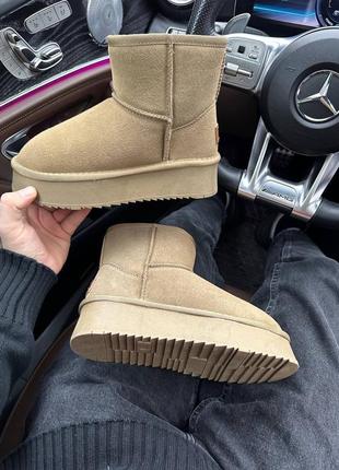 Ugg угги уггі