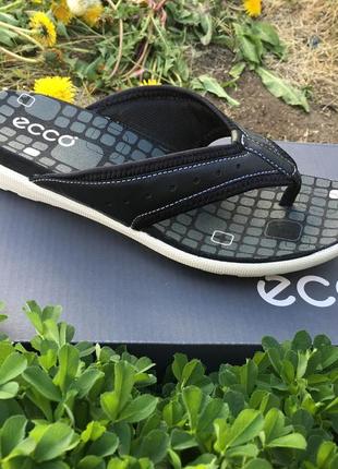 Жіночі в'єтнамки ecco jab sandal 238043 51052