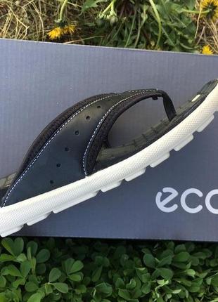 Женские вьетнамки  ecco jab sandal  238043 510524 фото