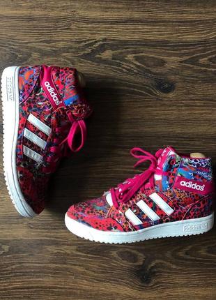 Кроссовки adidas