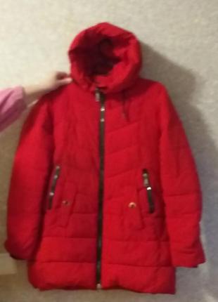 Верхняя одежда