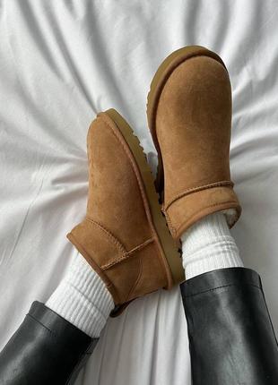 Ugg classic mini ii boots chestnut угги угги3 фото