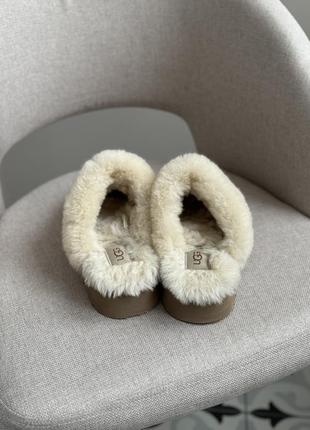 Ugg disquette оригинал4 фото