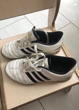 Кроссовки adidas davicto 3