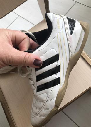 Кроссовки adidas davicto 5