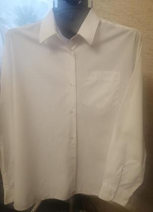 Белая рубашка блузка2 фото