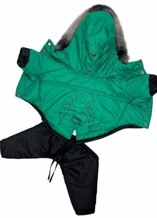 Комбинезон со съемными брюками, зеленый1 фото