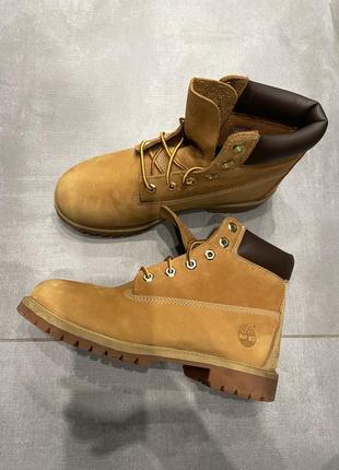 Чоботи жіночі оригінал timberland