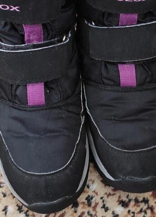 Зимние сапожки/ботинки geox amphibiox, р.353 фото