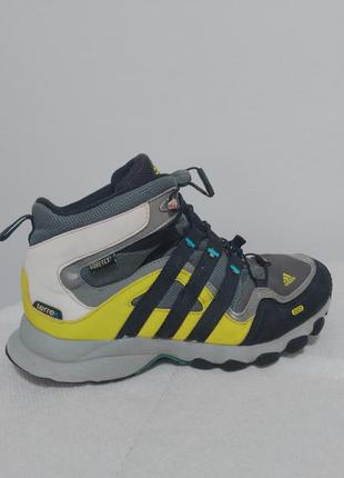 Adidas terrex gore-tex