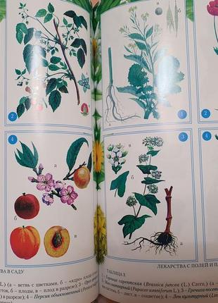 Энциклопедия народной медицины booker