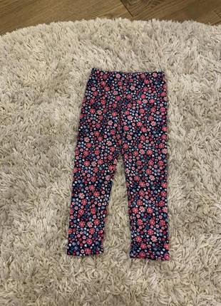 Лосіни carter’s